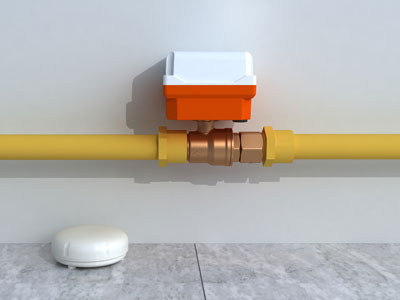 Wireless Auto Shut-off Valve