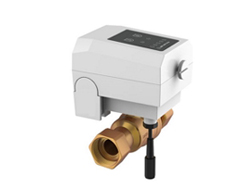 F104H/F104F Wireless Auto Shut-off Valve