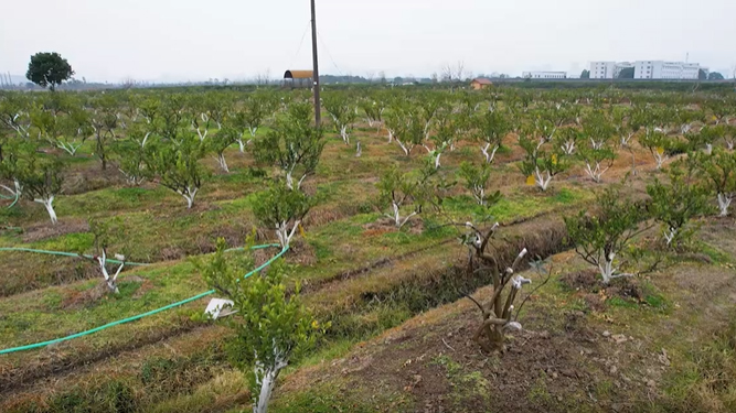 Application of Runjing Smart Irrigation Valve in Garden Irrigation